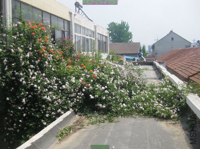 nEO_IMG_��Ƭ 213.jpg