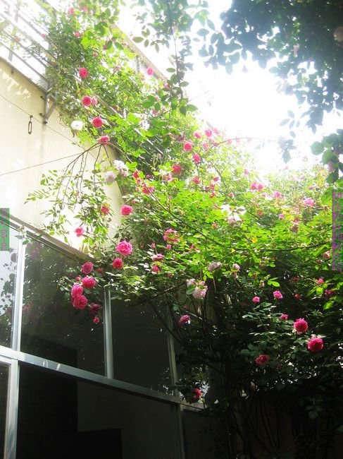 nEO_IMG_��Ƭ 194.jpg