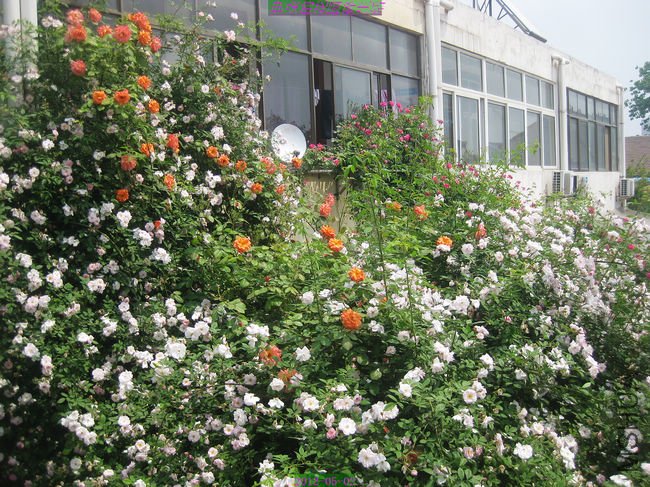 nEO_IMG_��Ƭ 214.jpg