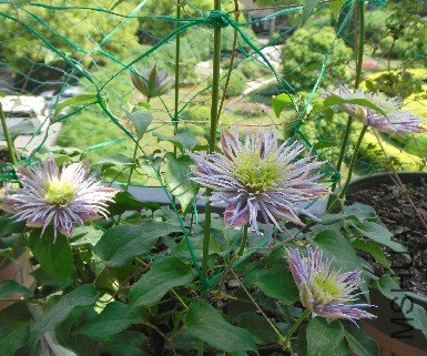 QQ��ͼ20120504131606.jpg