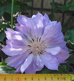 QQ��ͼ20120504131606.jpg