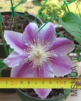QQ��ͼ20120504131606.jpg