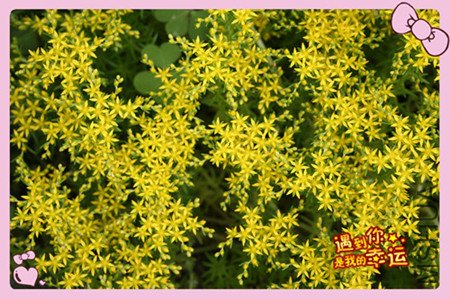 ��Ƭ 011_����2_����.jpg