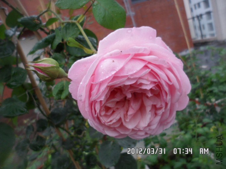 SAM_0161.JPG