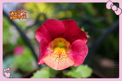 ��Ƭ 006_������2.jpg