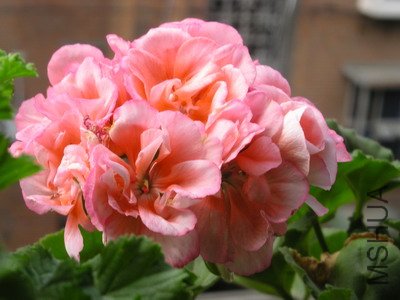 ��Ƭ4 013_��С��С.jpg