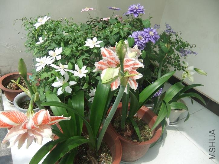 DSCF5391.JPG