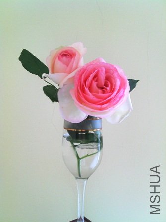 IMG_20120501_122744.jpg