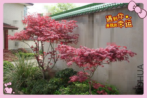 ��Ƭ 110_������2.jpg