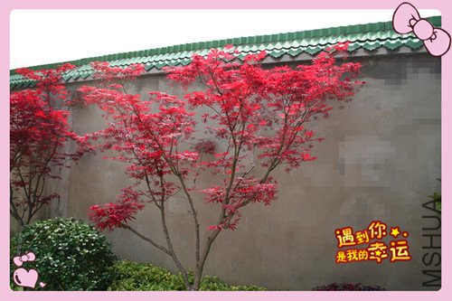 ��Ƭ 108_��������1.jpg