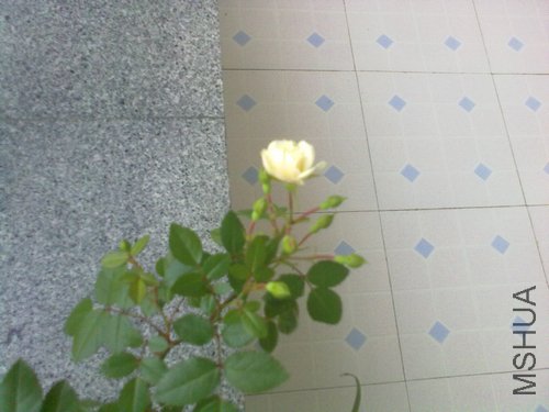 20120422973.jpg