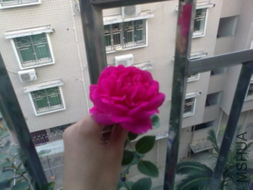 20120422974.jpg