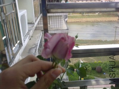 20120422975.jpg