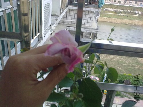 20120422976.jpg