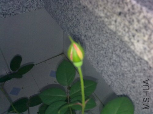 20120422977.jpg