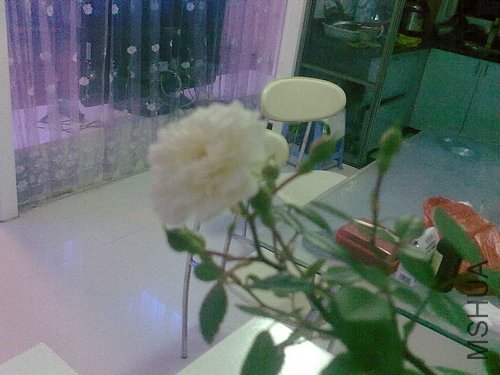 20120423983.jpg