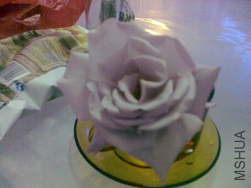 20120423985.jpg
