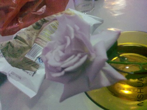 20120423986.jpg