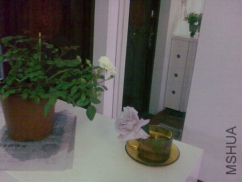 20120423987.jpg