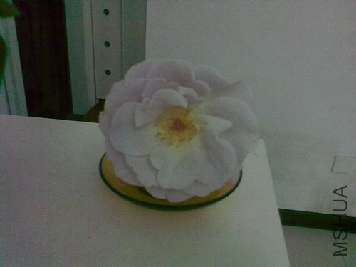 20120424990.jpg