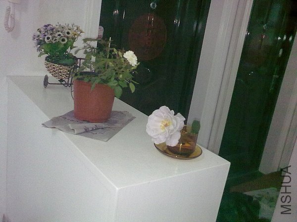 20120424988.jpg