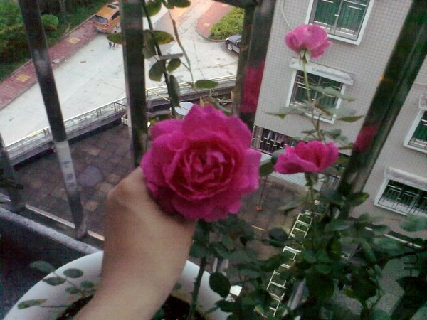 20120425999.jpg