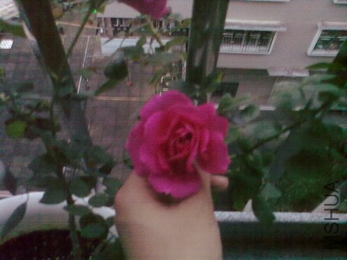 201204251000.jpg