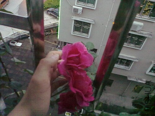 201204251002.jpg