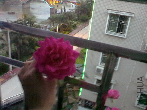 201204251001.jpg