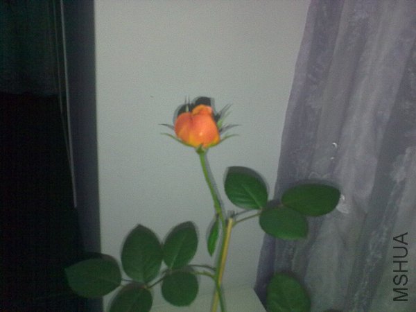 201204251010.jpg