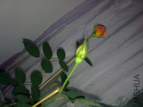 201204251019.jpg