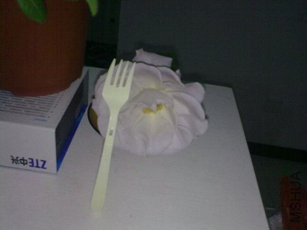 201204251026.jpg