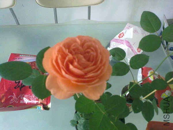 201204261032.jpg