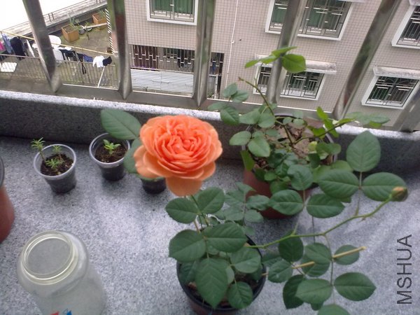 201204261033.jpg