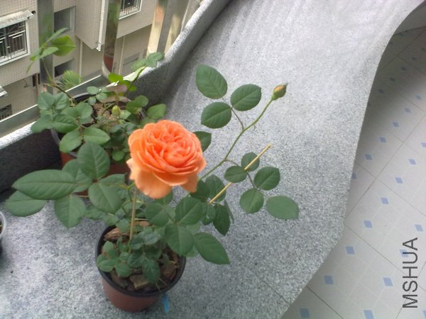 201204261034.jpg
