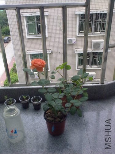 201204261035.jpg