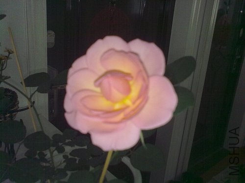 201204281060.jpg