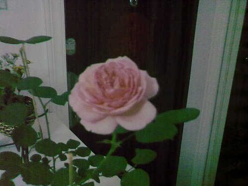 201204281068.jpg