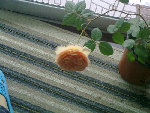 20120417840.jpg