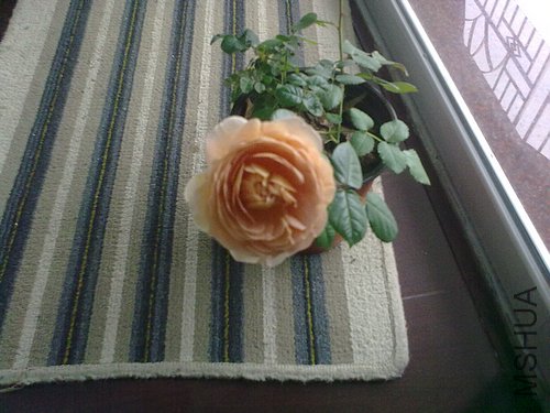 20120417844.jpg