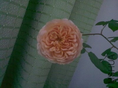 20120417854.jpg