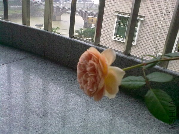 20120417859.jpg