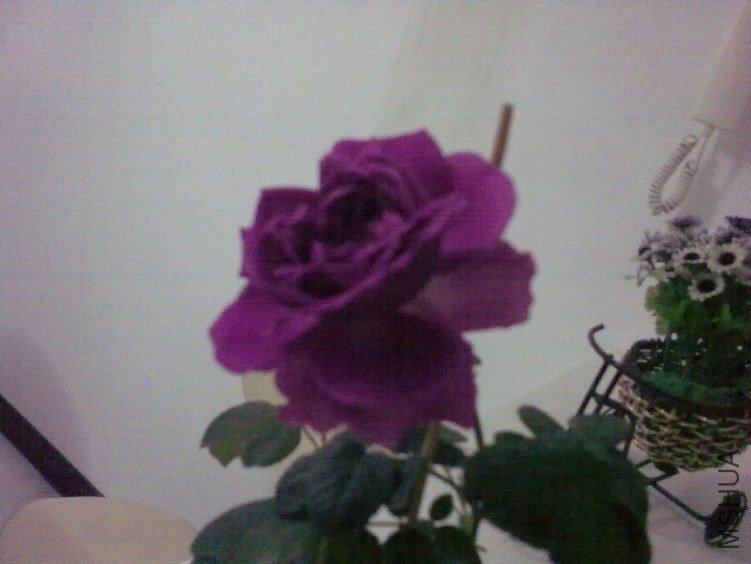 20120418914.jpg