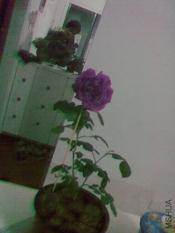 20120418943.jpg