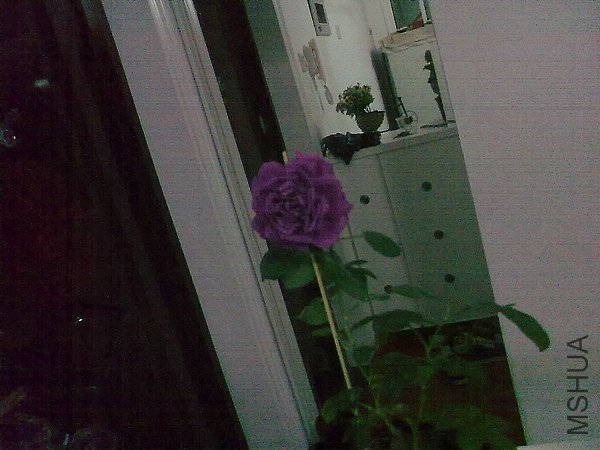 20120418945.jpg