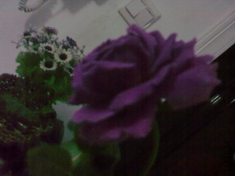 20120418946.jpg