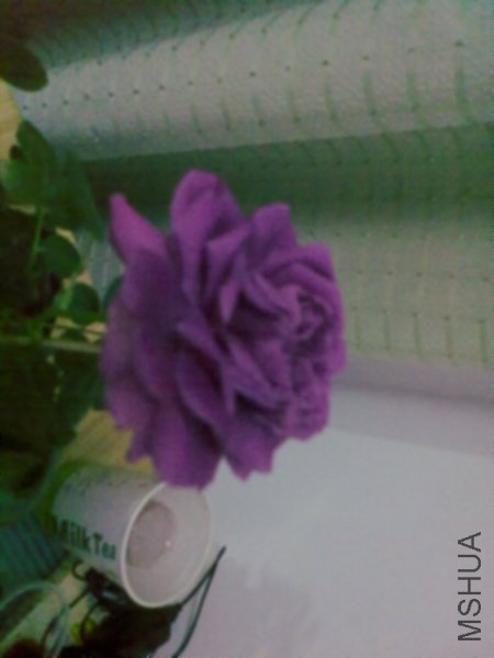 20120418953.jpg