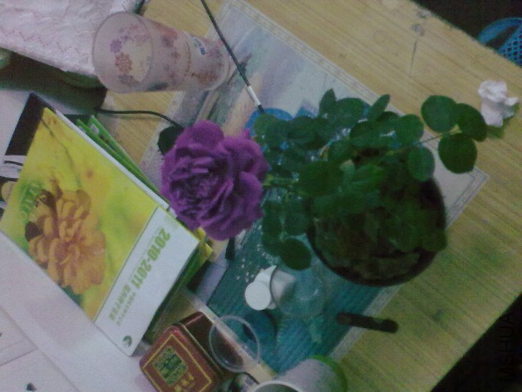 20120418955.jpg