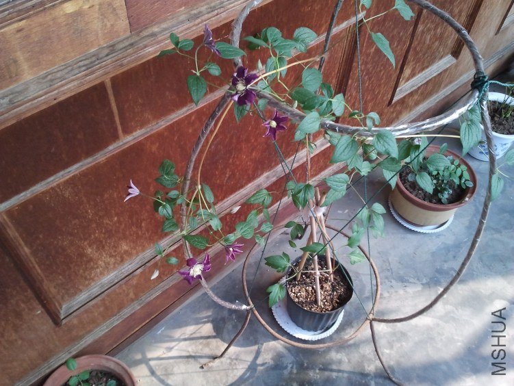 2012-05-05 08.26.34.jpg