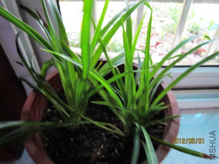 ������̨ (3).jpg